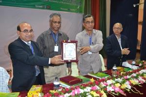 Career Mentorship Program